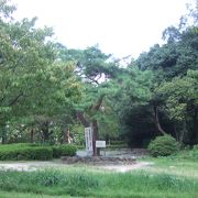 吉田神社から今出川通りに抜ける森の散歩道