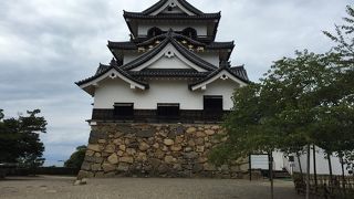 やっぱりひこにゃんは可愛いです。