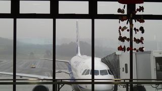 ＡＮＡのみで、日に４往復就航しています