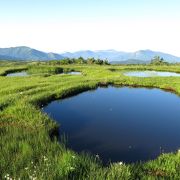 山頂は天上の楽園