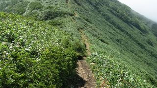 稜線がとても美しい