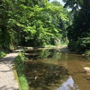 家族連れにオススメ夏の養老渓谷　