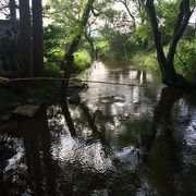 カッパの痕跡をもう少し確認したかった。