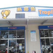 熱帯魚専門店 By Morka トロピランド 相模原店 のクチコミ フォートラベル