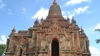 日陰でうとうと