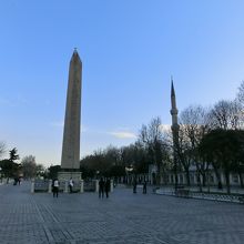 ヒッポドローム 