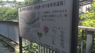 自転車・歩行者専用道