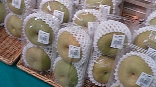 梨が並んでいました。