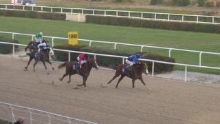 イズミル シリニア競馬場