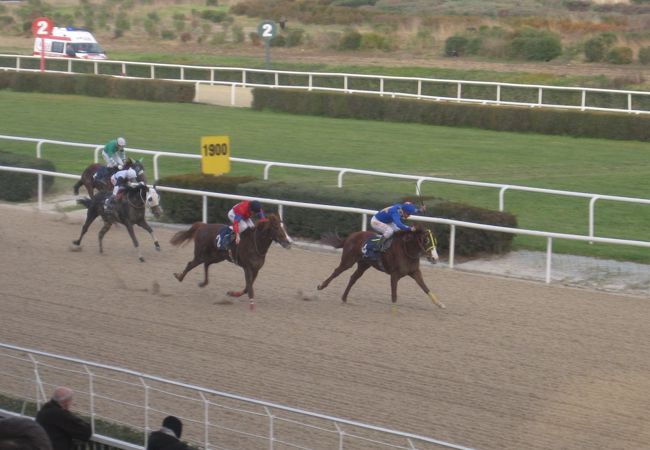 イズミル シリニア競馬場