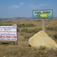 分岐点のダイアモンドシェープロックはこれ