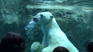 札幌からは思った以上に遠いです