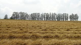 愛煙家にはたまらない場所