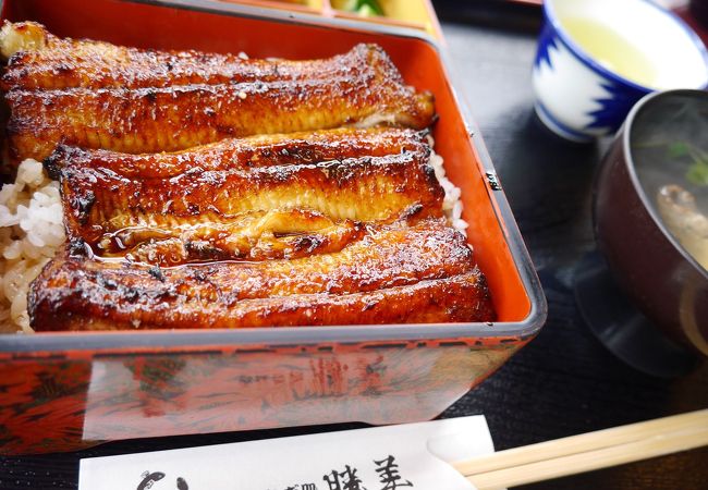 浜名湖うなぎ処 勝美 三ヶ日本店 クチコミ アクセス 営業時間 浜名湖 フォートラベル