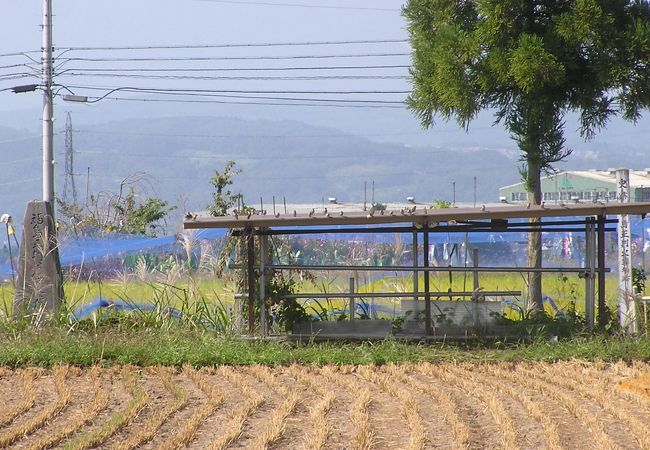 福島正則荼毘の地 (福島正則荼毘所跡)