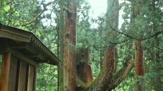 日本人の知らない日本一