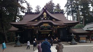 建物は荘厳で御神木の立派さにも目が奪われます