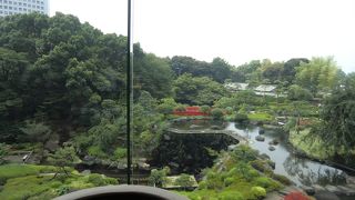 日本庭園を眺めながらランチビュッフェ