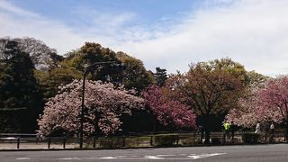 和気清麻呂像と震災イチョウがあります。