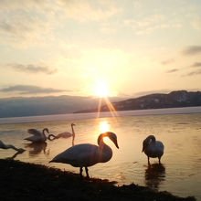 夕焼けを背景に