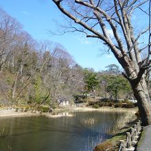 お堀と土塁と言う20万石とは思えない城跡！