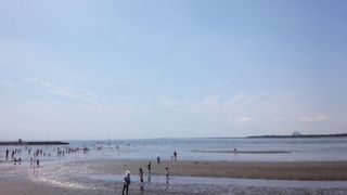 週末海水浴やってました