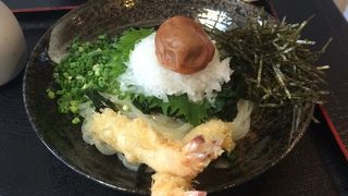 博多のうどんとは一線を画す