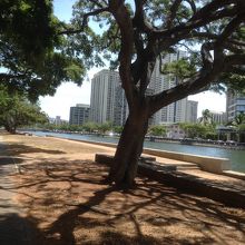 景色はいいが…