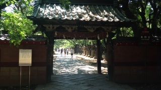 広い広い神社です