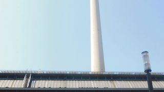 どこでも高いところは人気がある