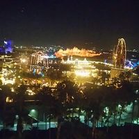 ディズニーランドが見えてずっと何かやってた。