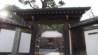 島崎藤村が眠っています