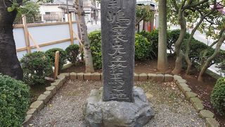 こんなところに・・・・