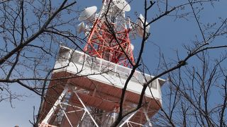 湘南が見晴らせます