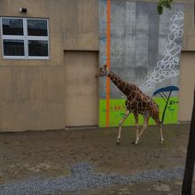 いろんな動物がいる