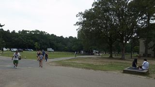 しかしかいない