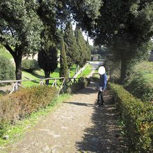 右はポンペイの市街地で、遊歩道、小道がいい感じ。