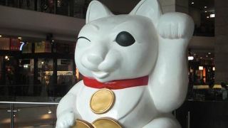 原宿みたいなところ