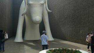 真っ白がまぶしい美術館