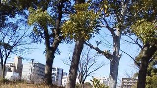 緑のある公園です