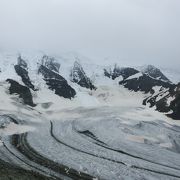 目の前に広がる大迫力の氷河