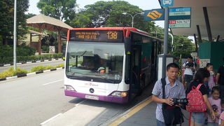 シンガポール動物園はこちらから