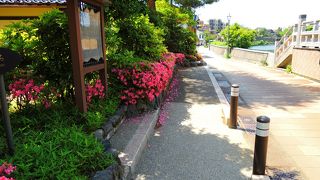 この辺りで生まれ育った泉鏡花