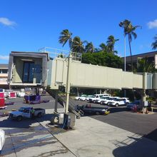 ホノルル空港国際線到着スポット入国審査に人が溢れていて機内待