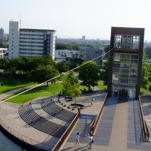 公園の様子