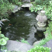 本殿の前の境内には、池があり、大きな鯉が放たれています。