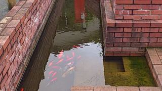 こじんまりした道の駅です