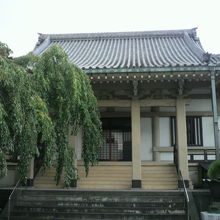 西応寺の本殿正面の様子です。樹木の枝が掛かっています。