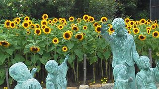 像(先生,12人の子供)の周りは ヒマワリが一面咲いていました
