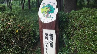 気持ち良い公園です。